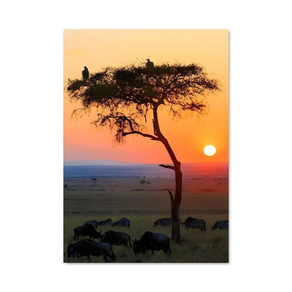 Poster Zebra Dance