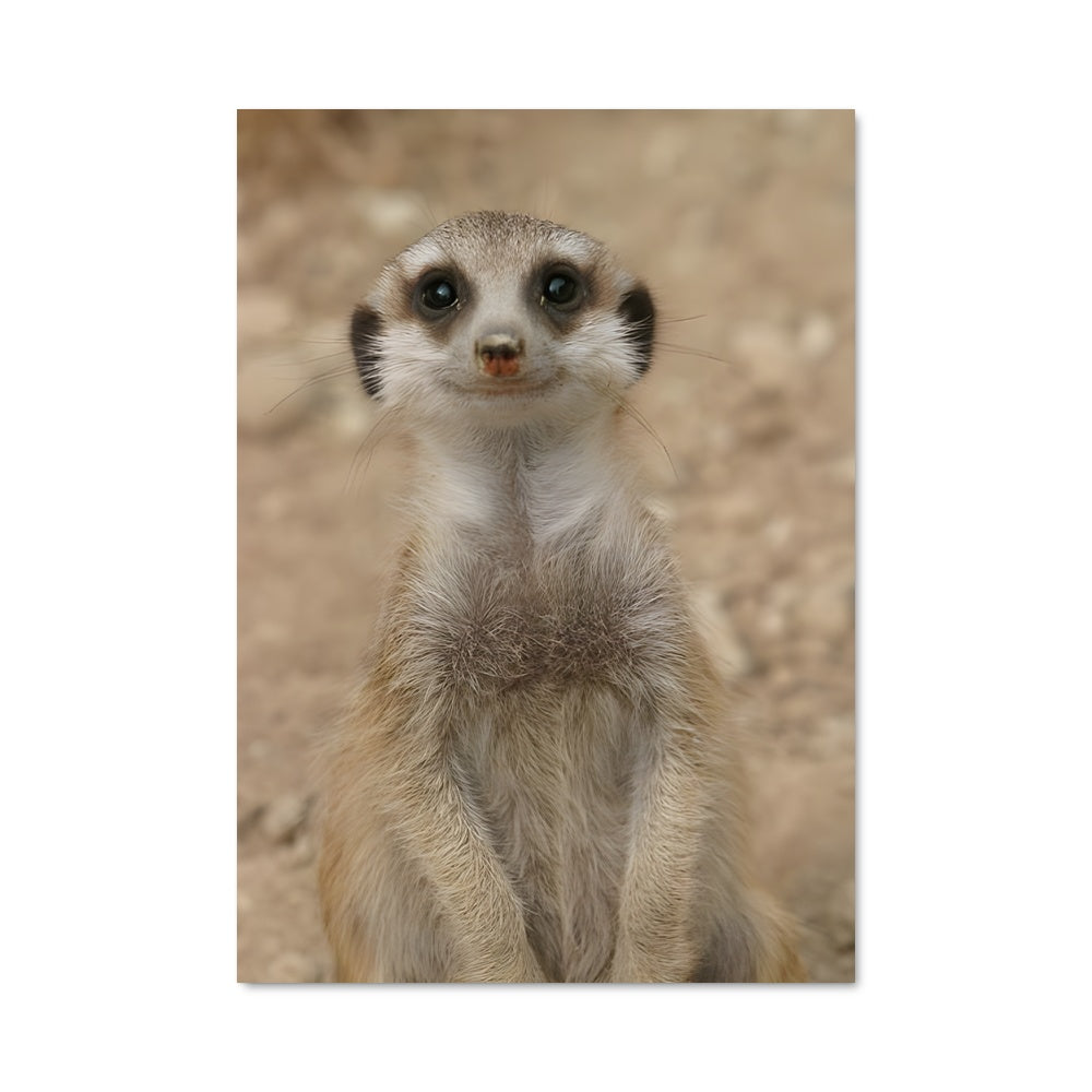 Poster Surveillant du Désert