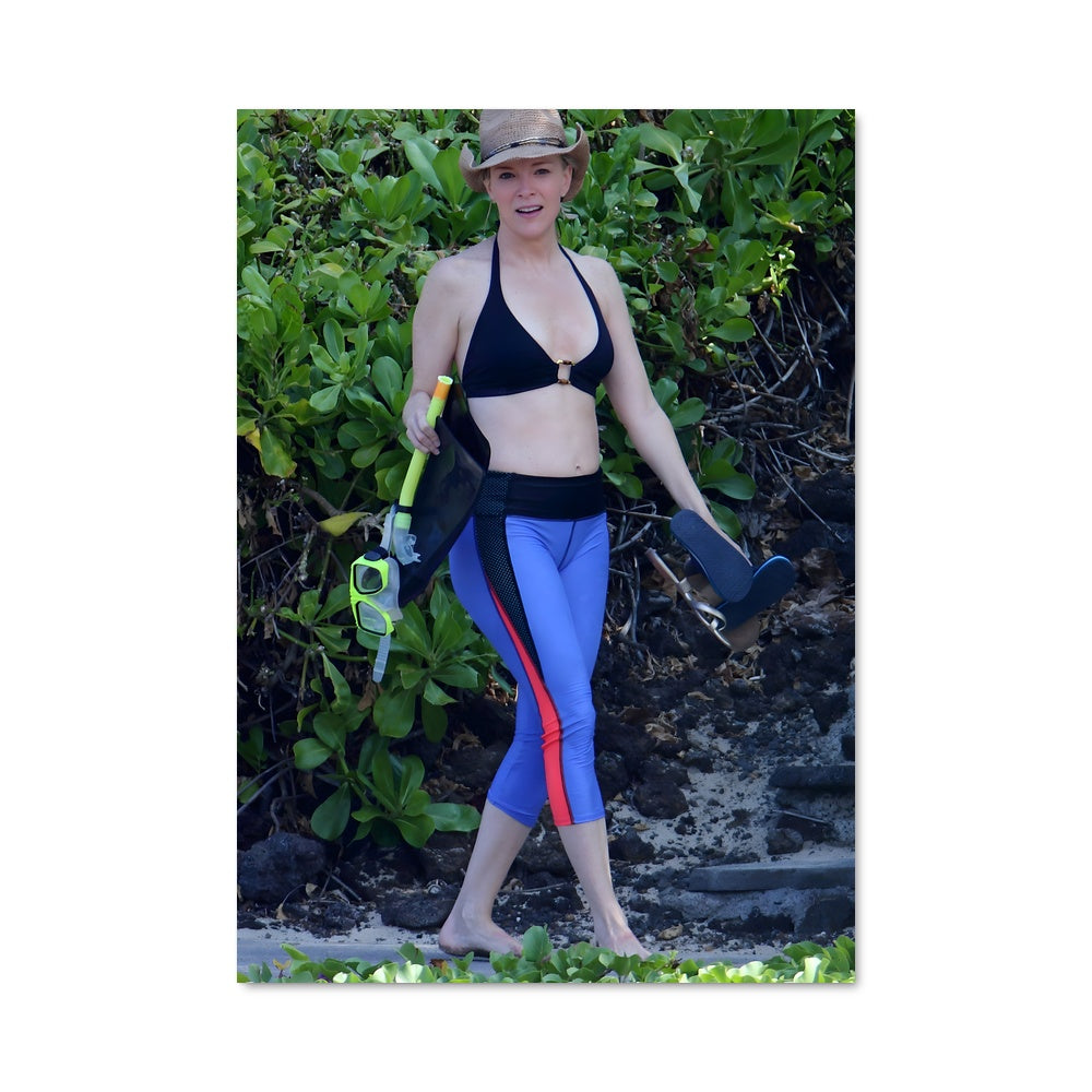 Poster Megyn kelly 13901