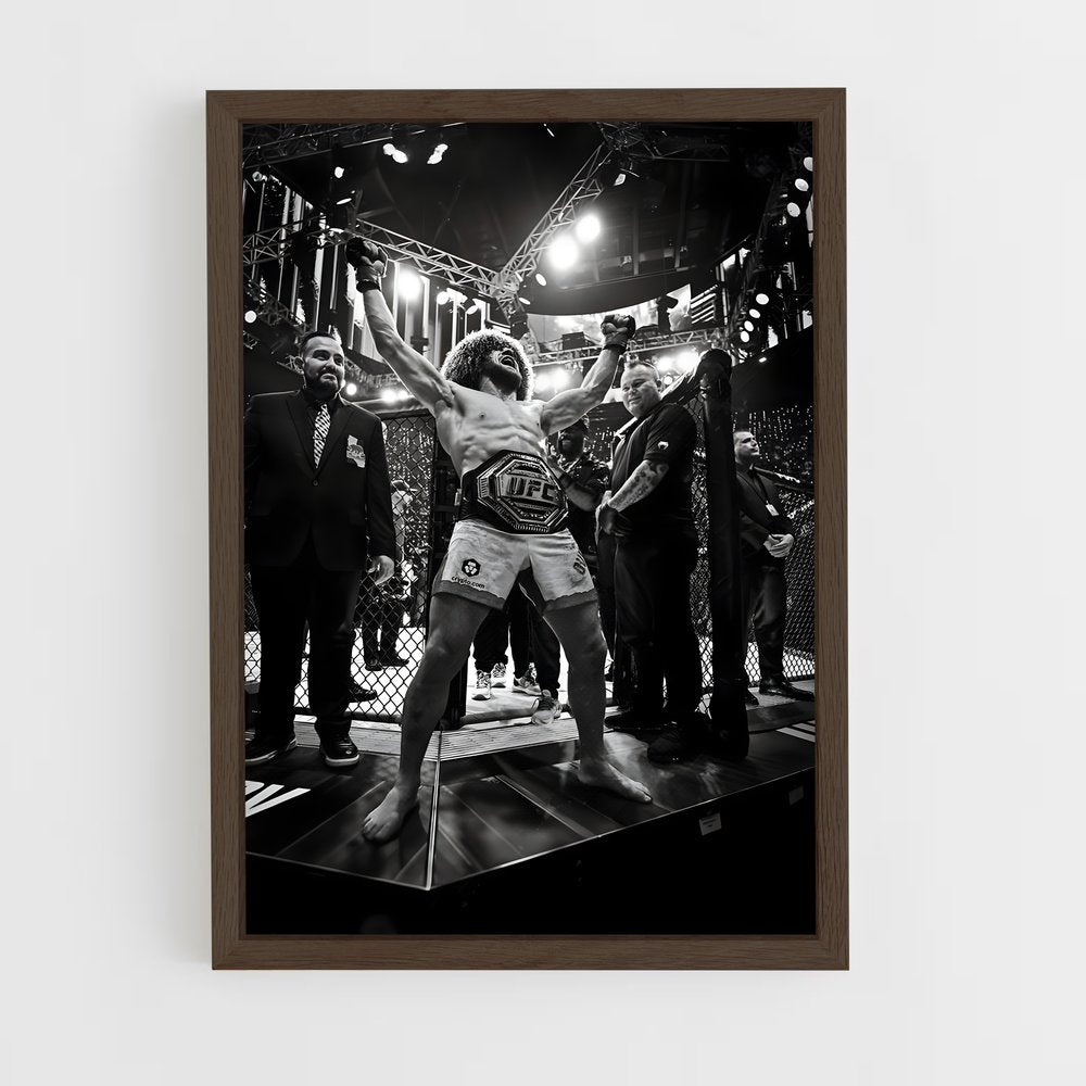 ap-merab dvalishvili-2 cadre Bois foncé