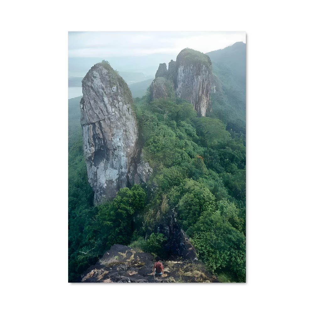 Poster Sommet de Micronésie