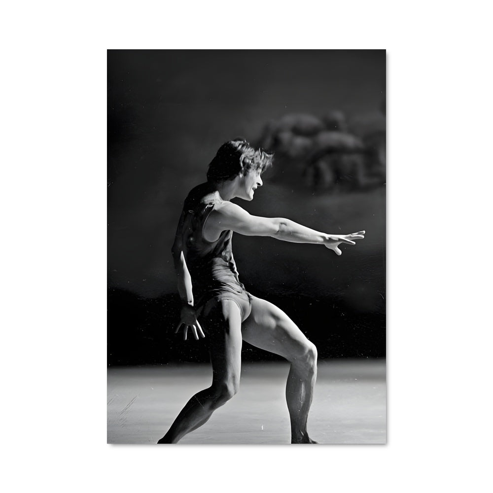 Poster Mikhail baryshnikov 65636
