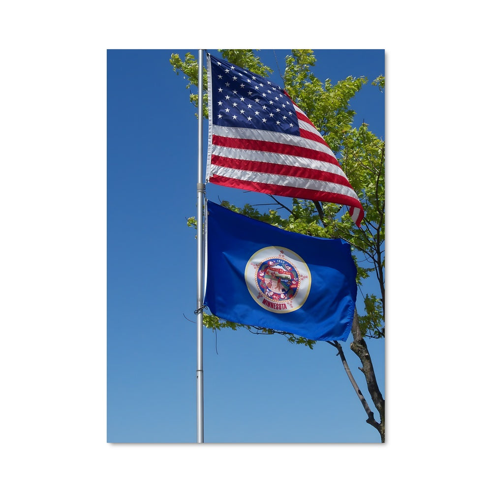 Poster L'Arbre du Minnesota