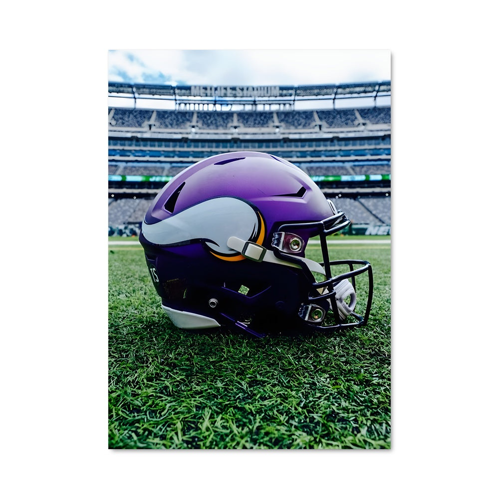 Poster Minnesota vikings 57552