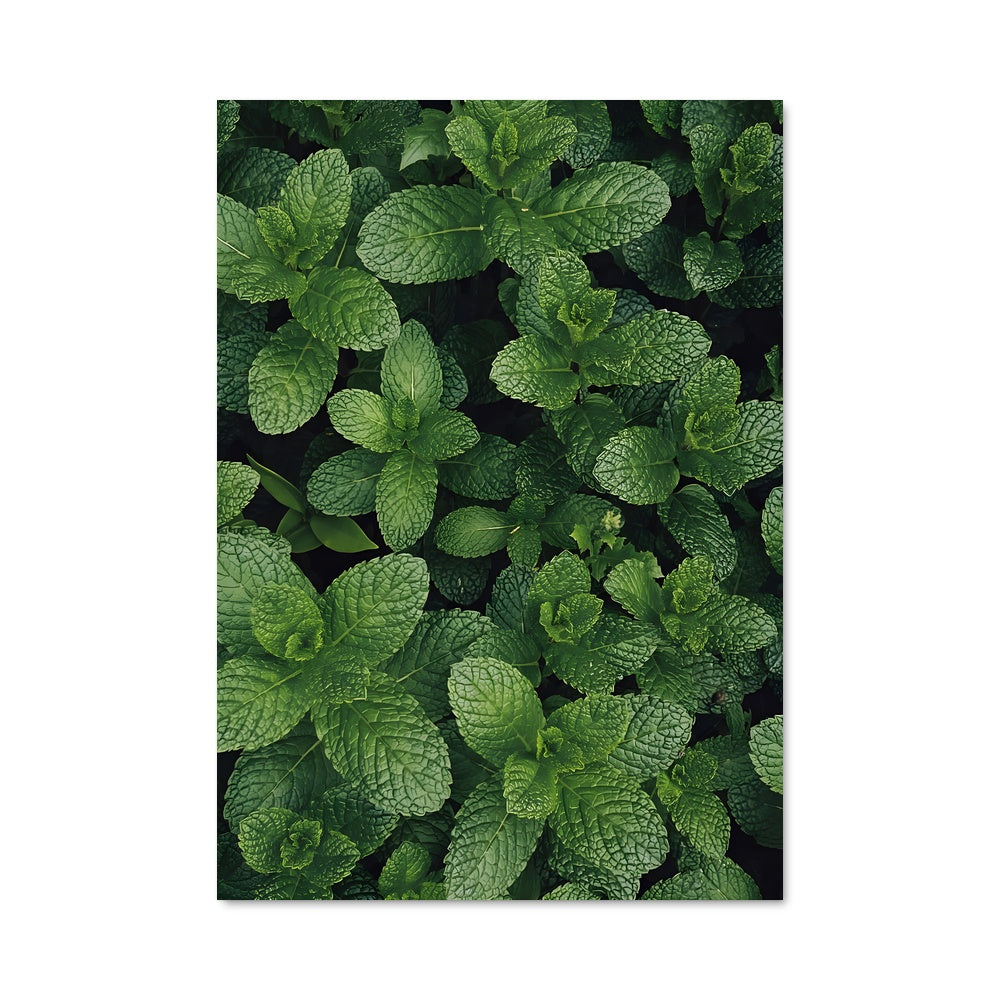 Poster Feuillage Envoûtant