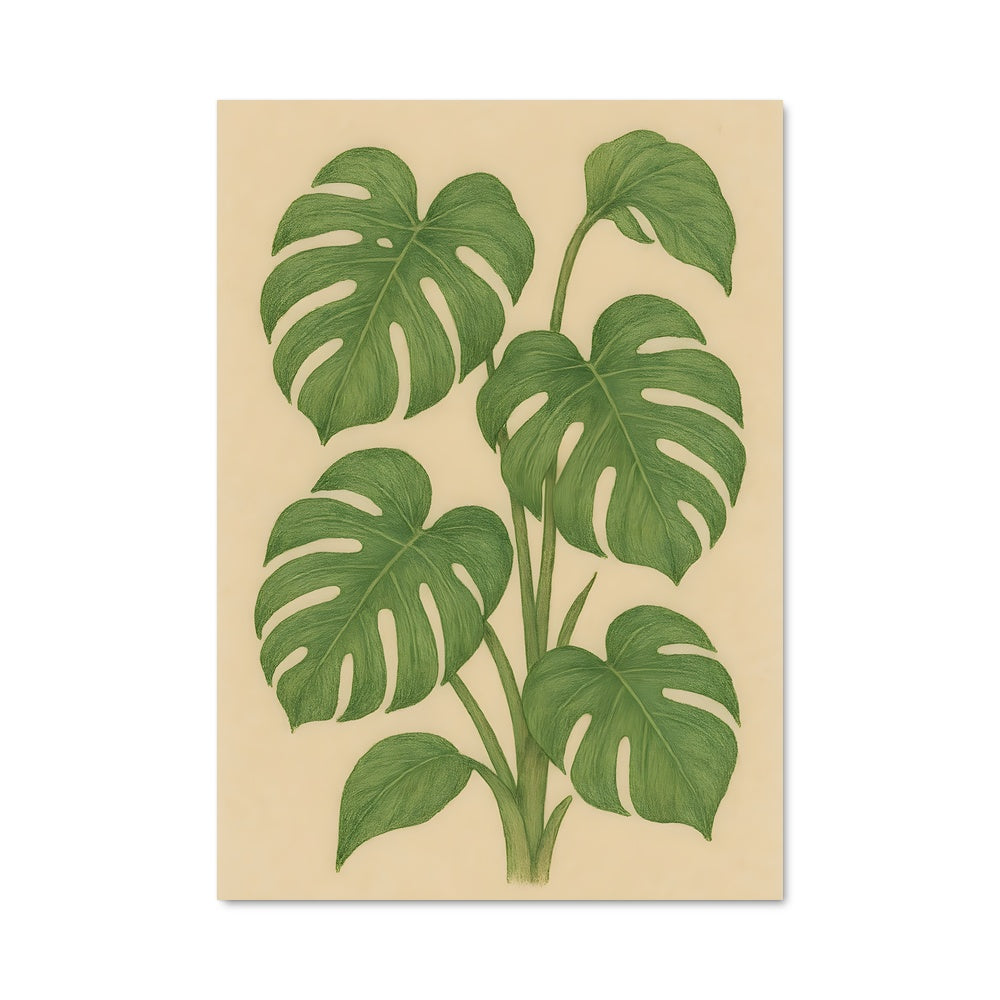 Poster Monstera Magic