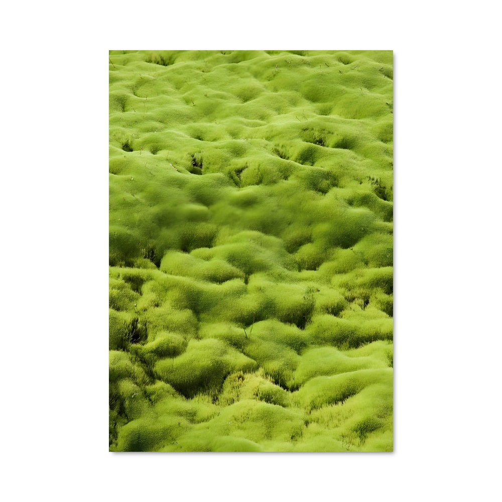 Poster Prairie Émeraude