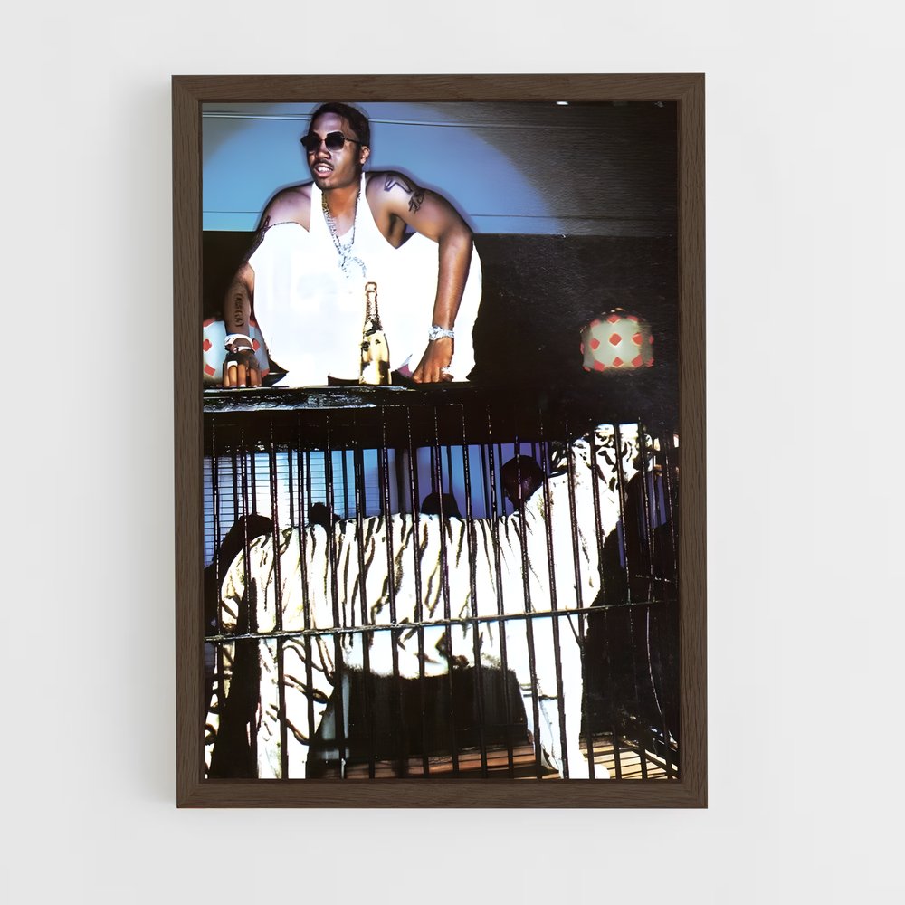 ap-nas-2 cadre Bois foncé