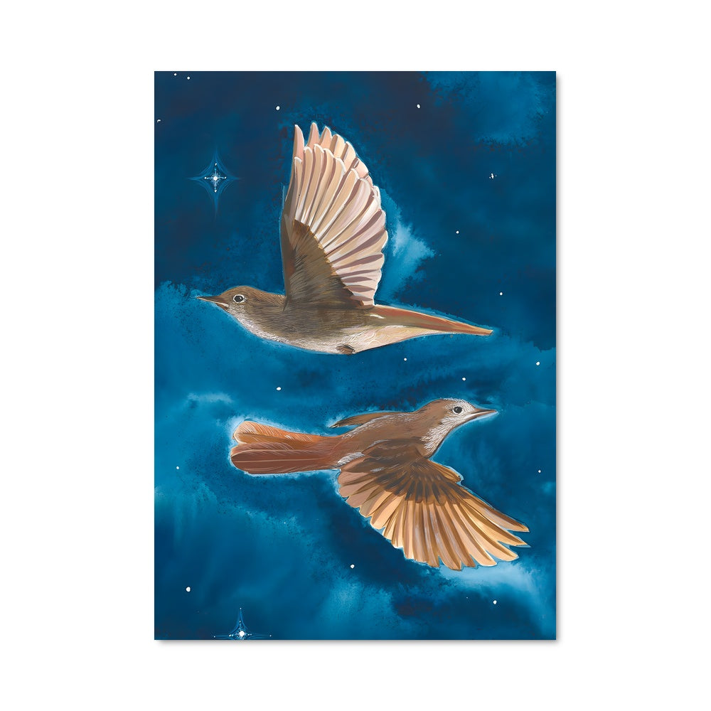 Poster Dans les Étoiles