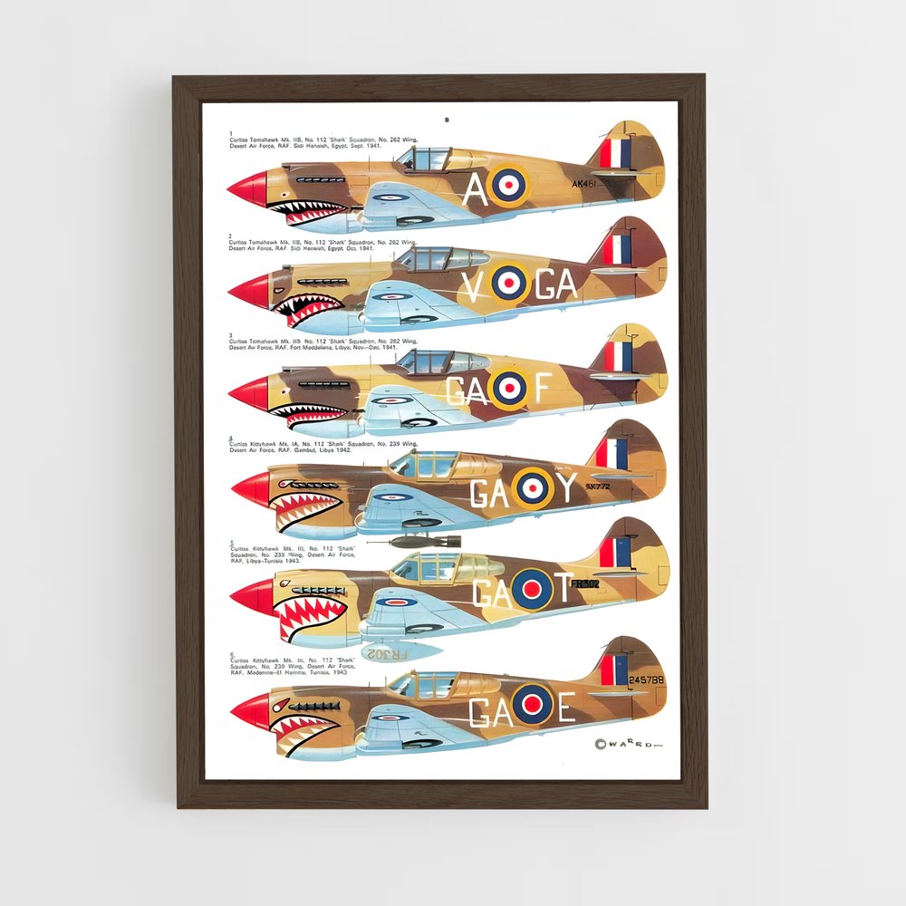 ap-p-40 warhawk-4 cadre Bois foncé