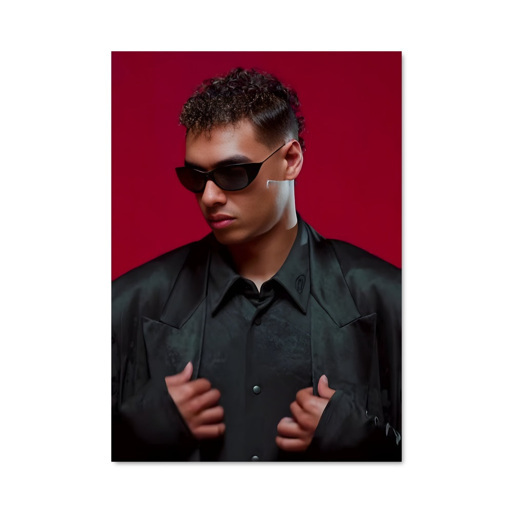 Poster Pablo veron 66129