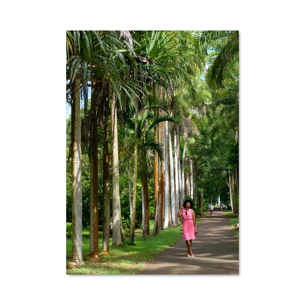 Poster Promenade Verdoyante