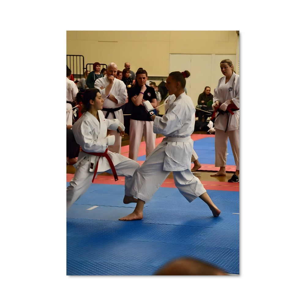 Poster Esprit du Dojo