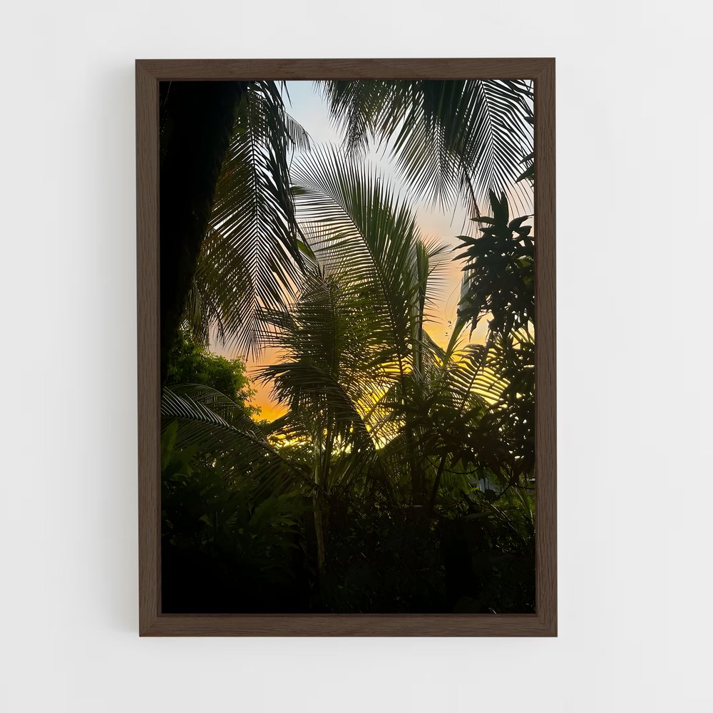 ap-paramaribo-6 cadre Bois foncé