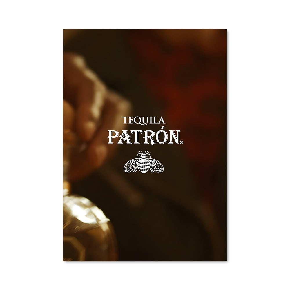 Poster Toula en Action