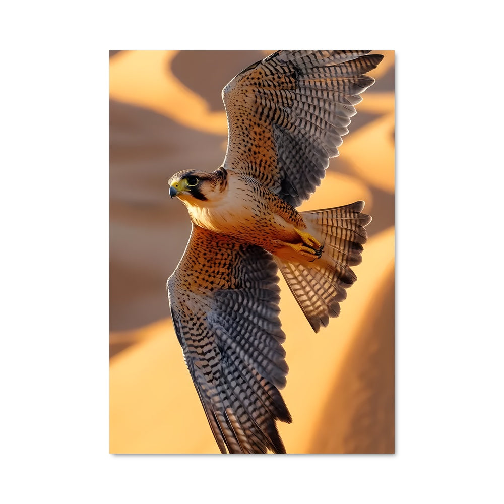 Poster L'Aigle des Sables