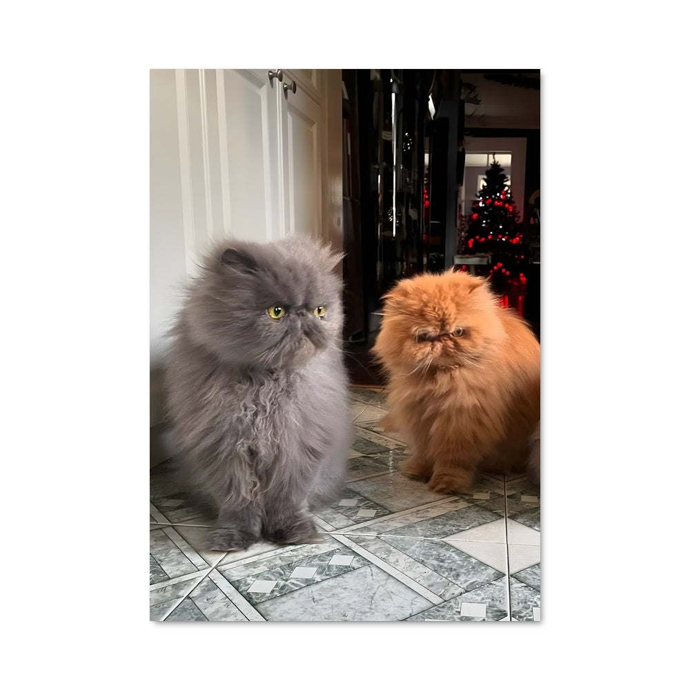 Poster Persian 84755