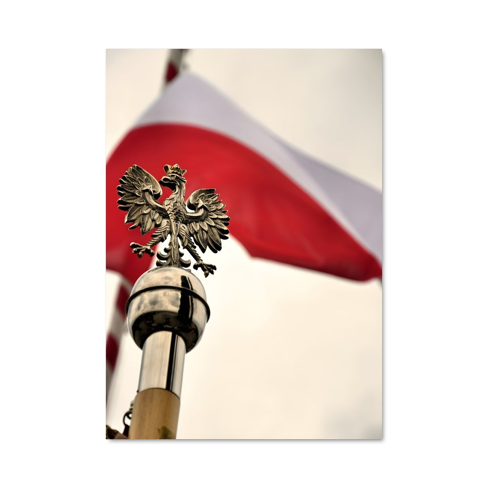 Poster Oiseau de Pologne