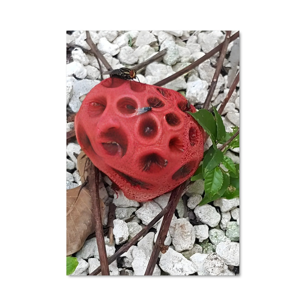 Poster Fleurs de Sang