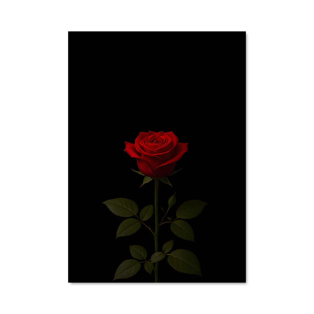 Poster Rose 96735