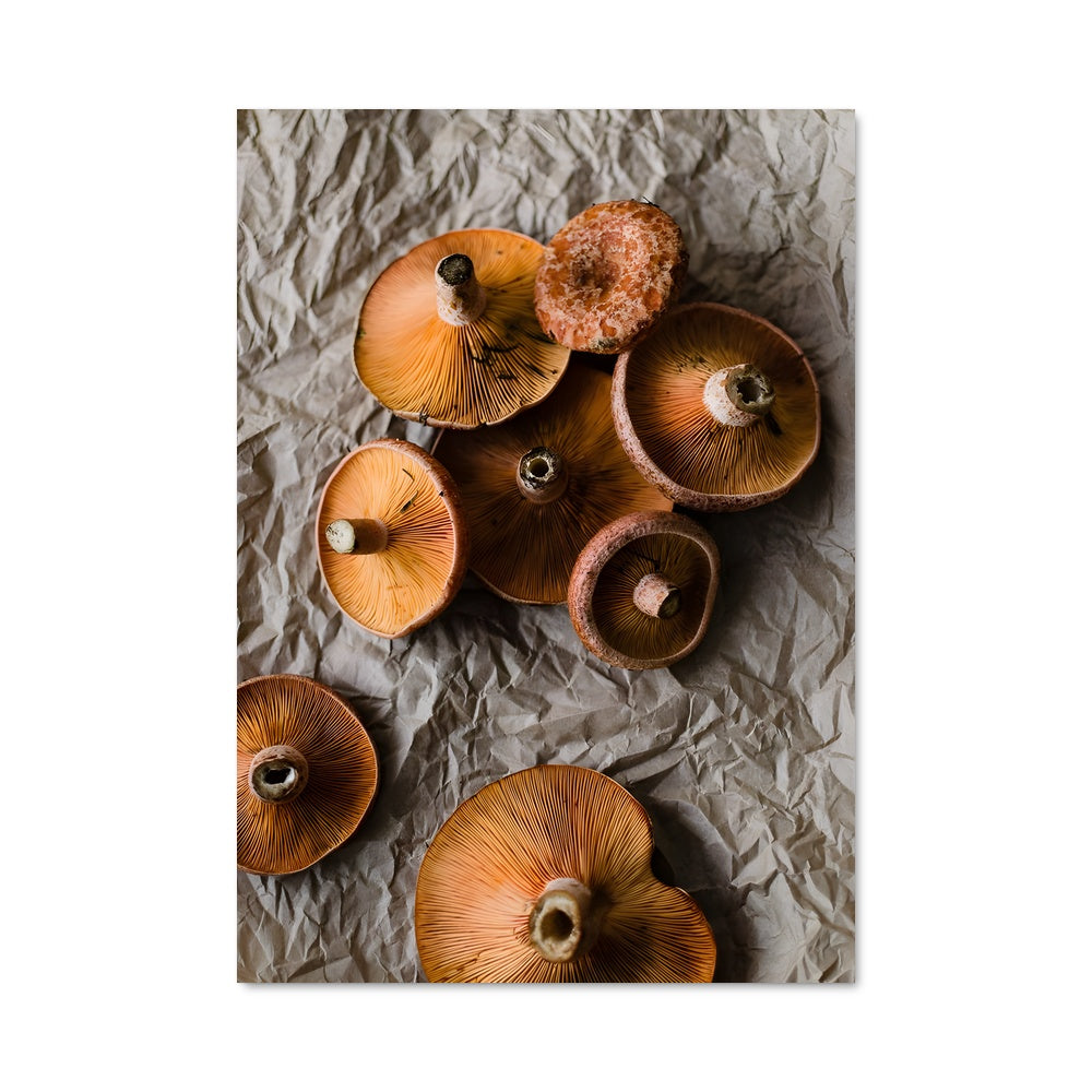 Poster Champignon Saffran