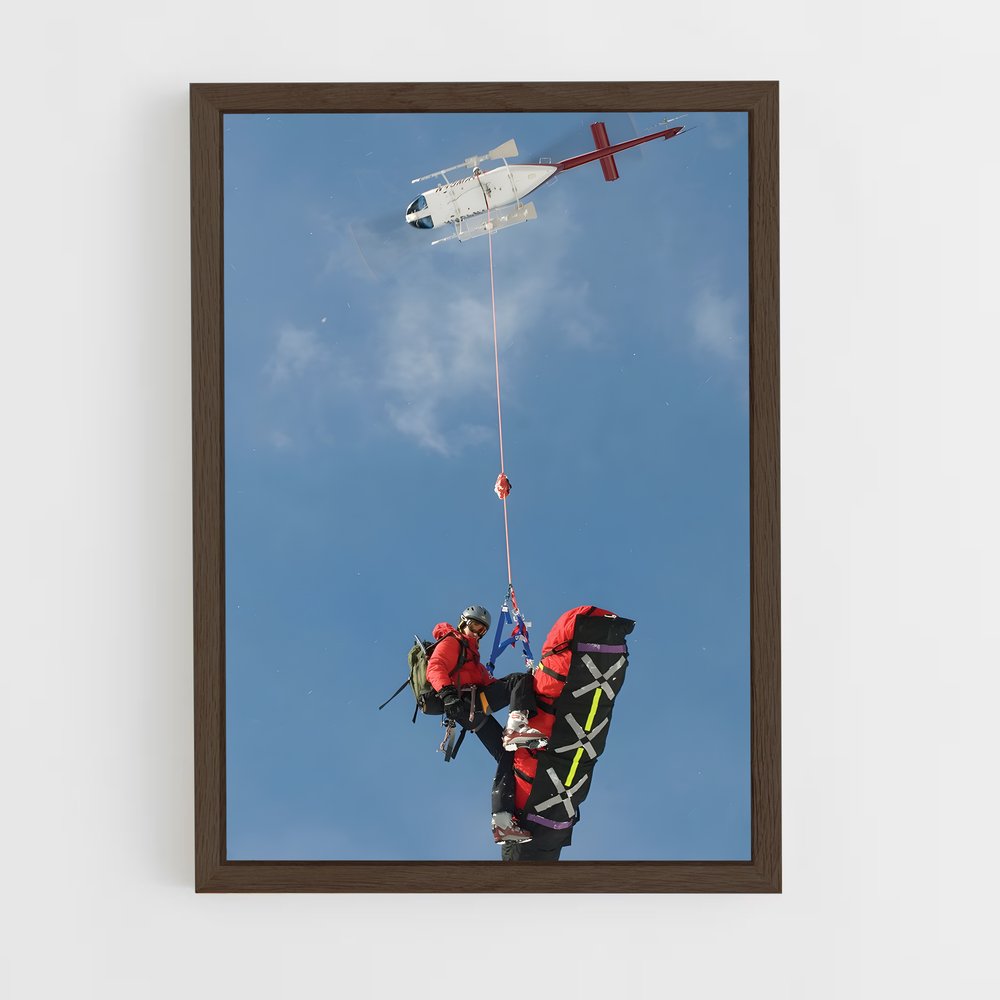 ap-search rescue-1 cadre Bois foncé