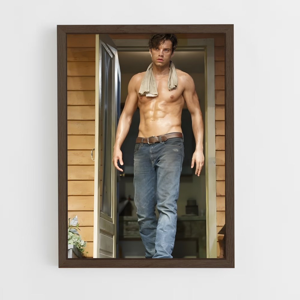 ap-sebastian stan-3 cadre Bois foncé