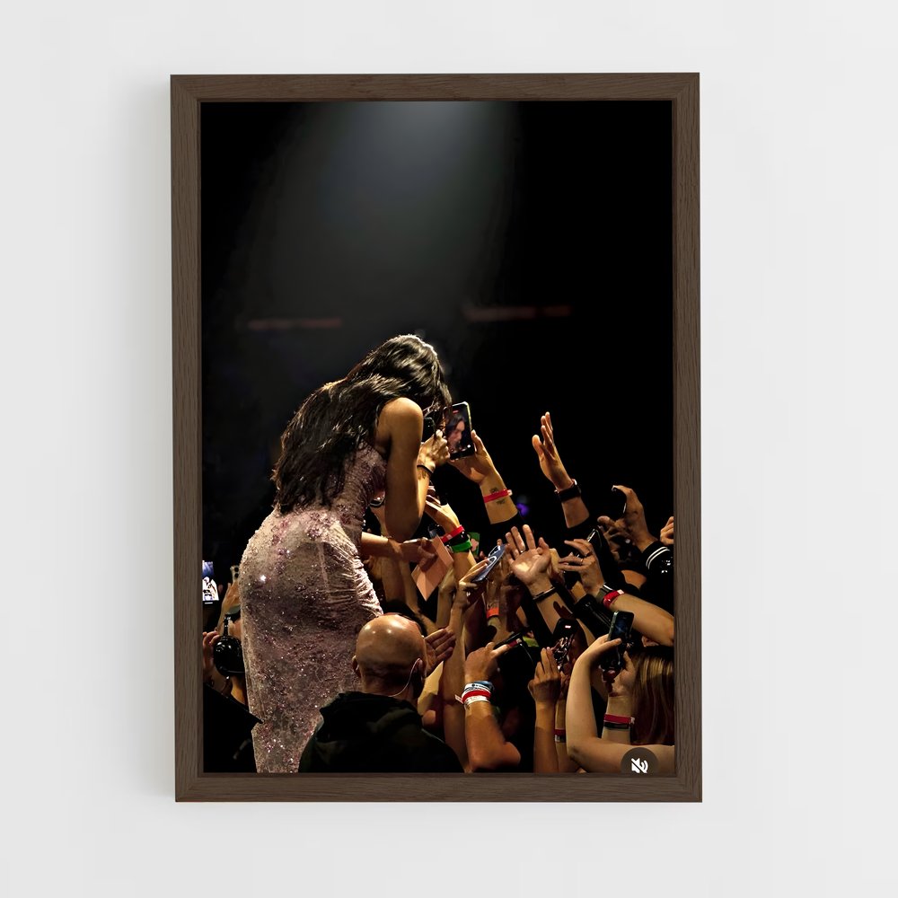 ap-singer-5 cadre Bois foncé