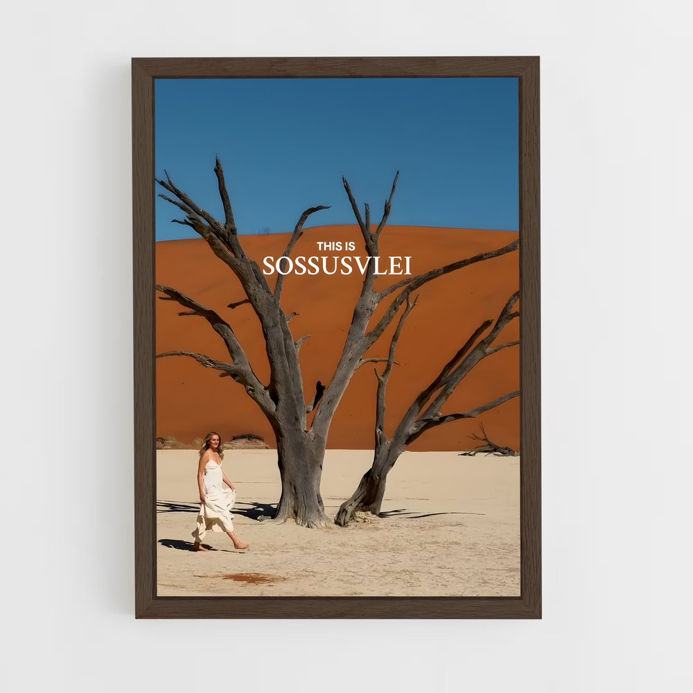 ap-sossusvlei-3 cadre Bois foncé