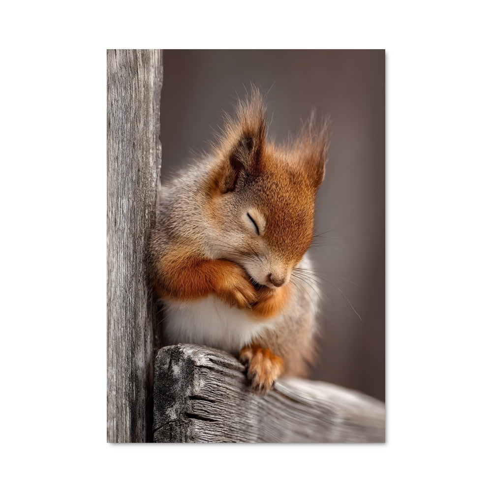 Poster Chipmunk Symphony