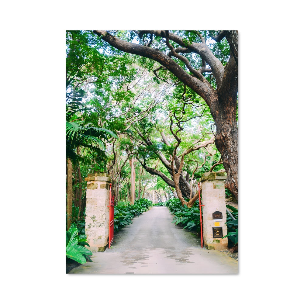 Poster St nicholas abbey 92627