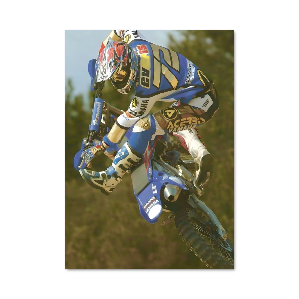 Poster Trickster on Wheels
