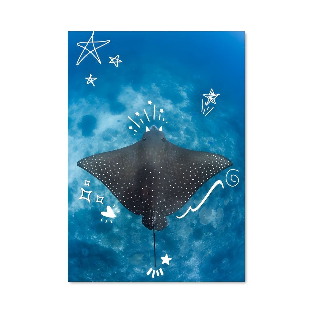 Poster Stingray 84424