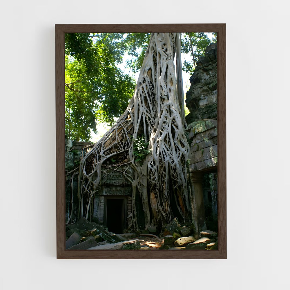 ap-ta prohm-4 cadre Bois foncé