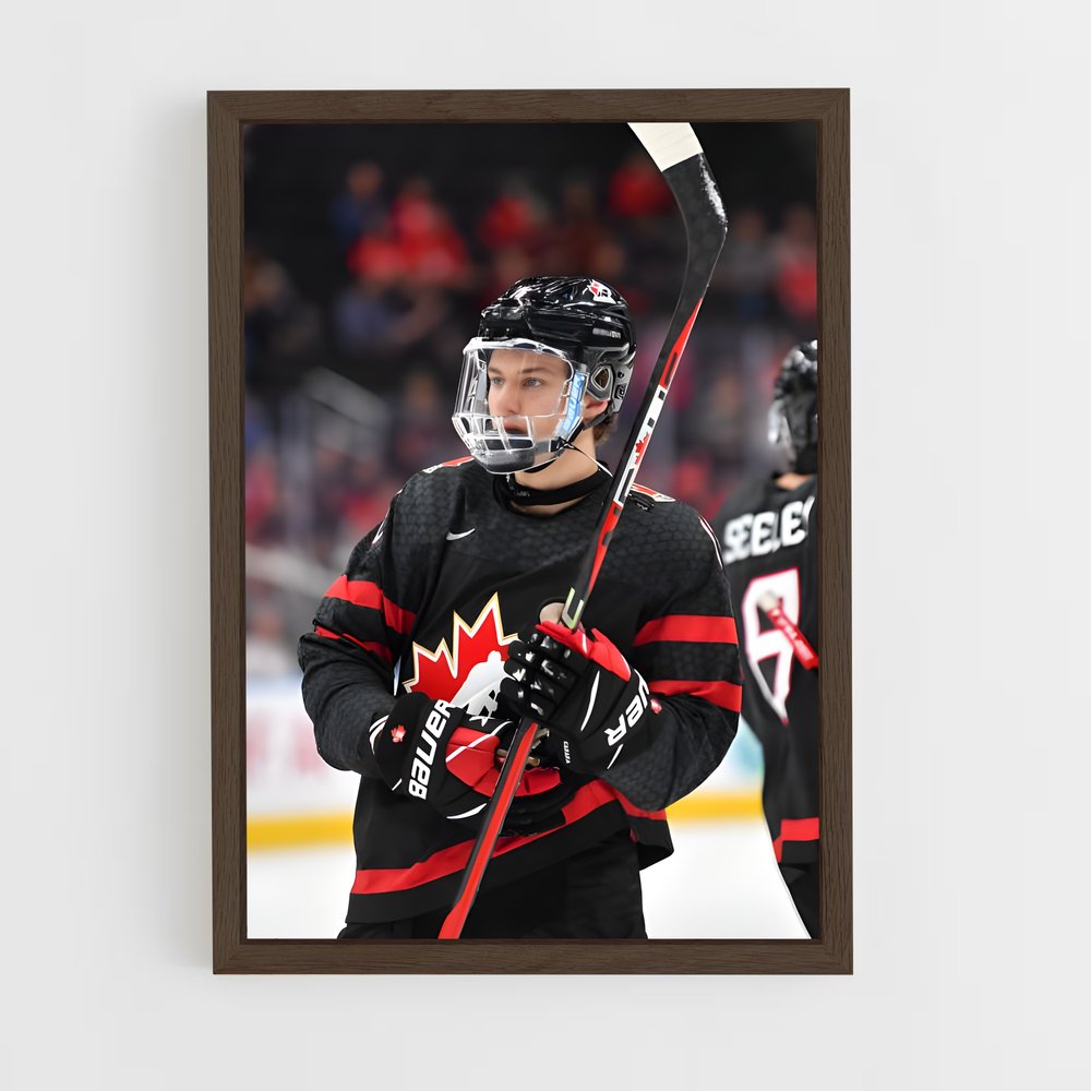 ap-team canada hockey-2 cadre Bois foncé
