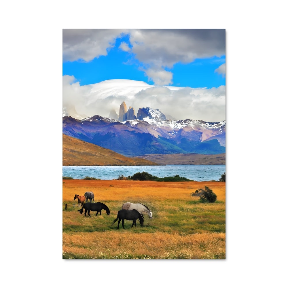 Poster Chevaux Sauvages