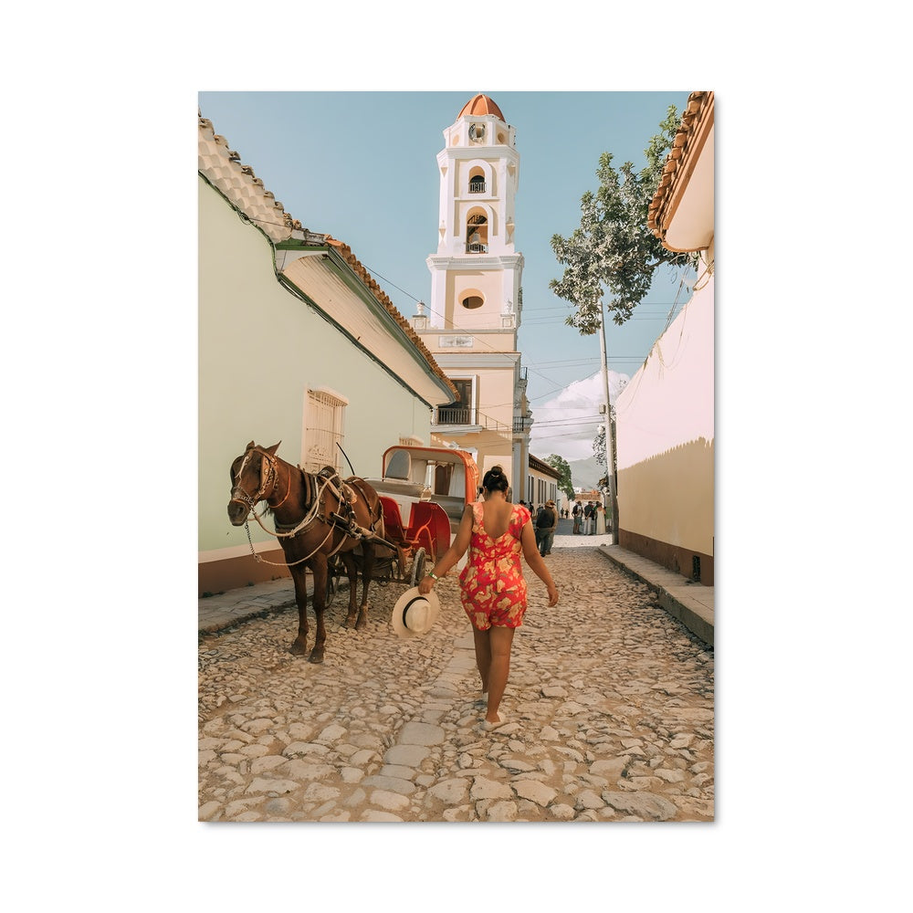 Poster La Danse des Pavés