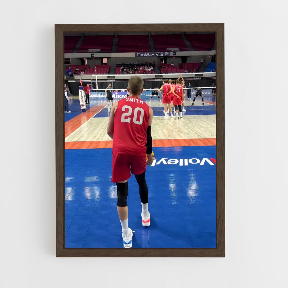 ap-usa national volleyball team-2 cadre Bois foncé