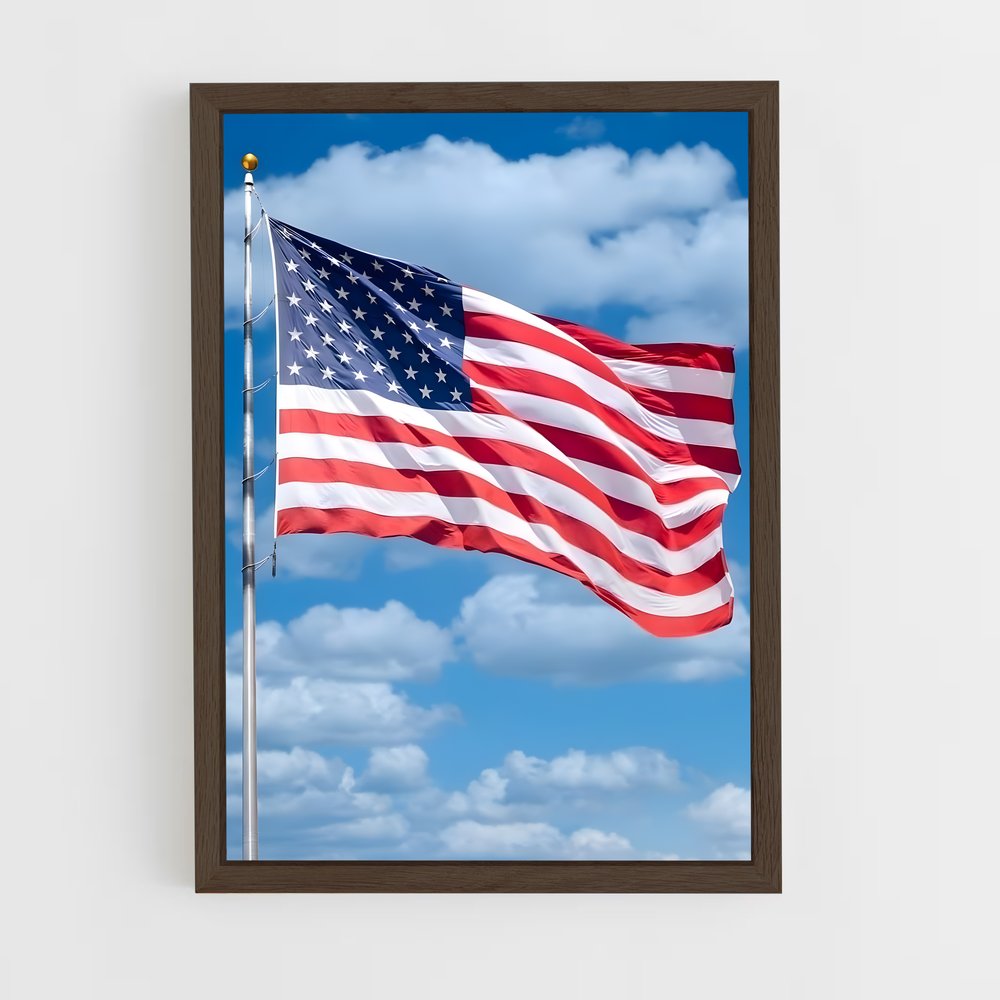 ap-usa today-15 cadre Bois foncé