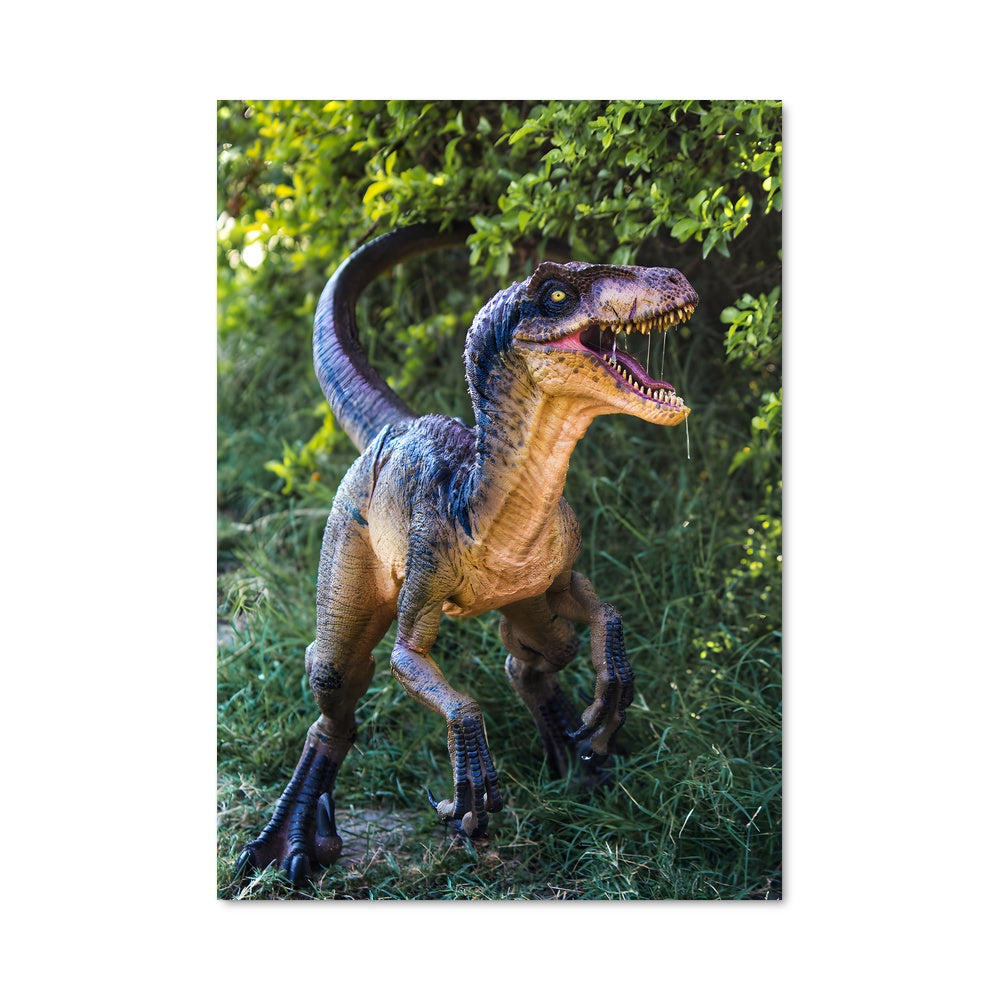 Poster Raptor en Herbe