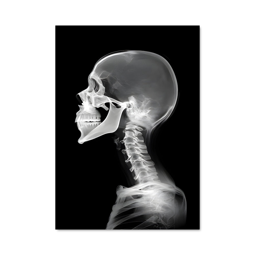 Poster Skeleton's Echo