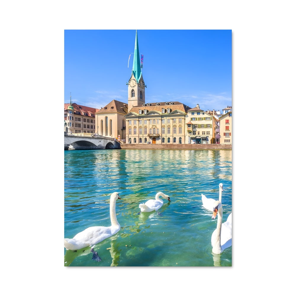 Poster Swan Lake Zurich