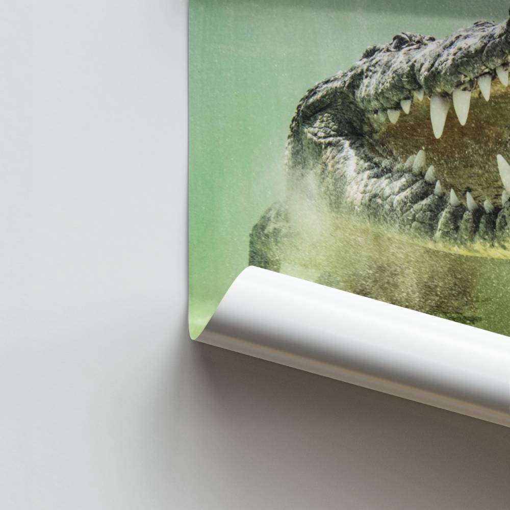 Poster mit Alligatorzähnen