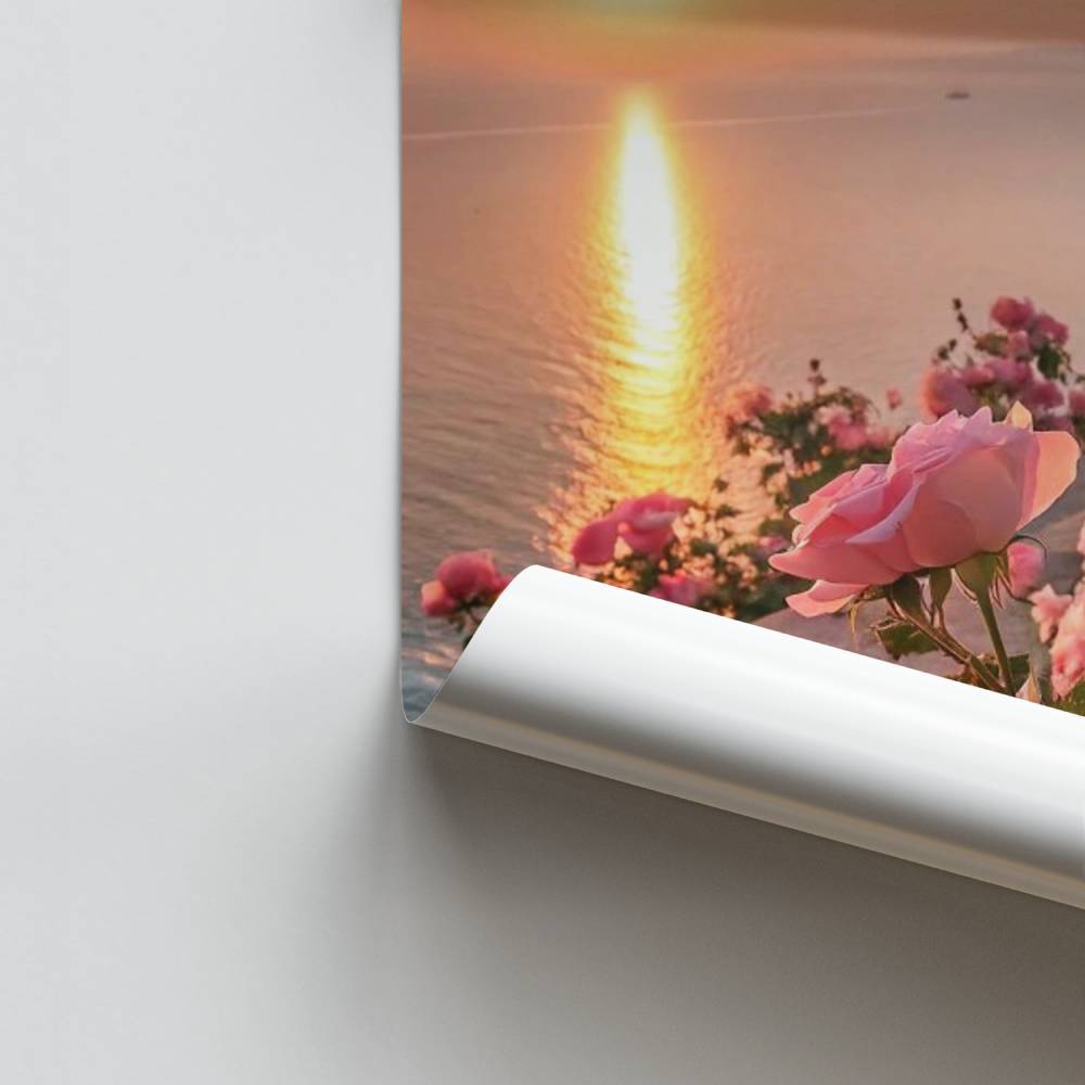 Poster Explosion der Rose