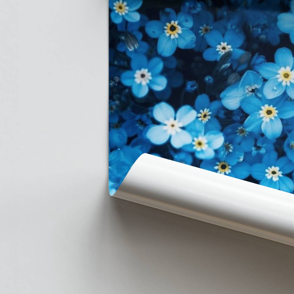 Poster Blaues Vergissmeinnicht