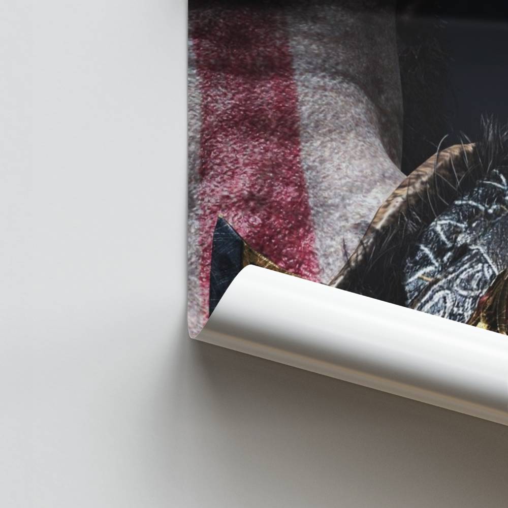 Nordisches Krieger-Poster