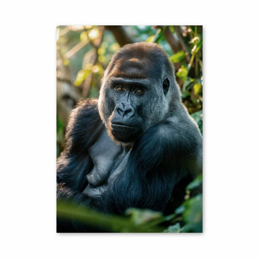 Poster Majestic Gorilla