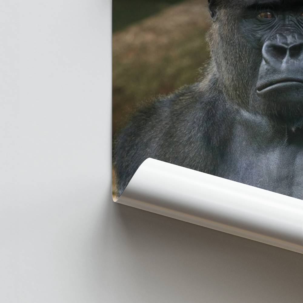 Poster Majestätische Stärke