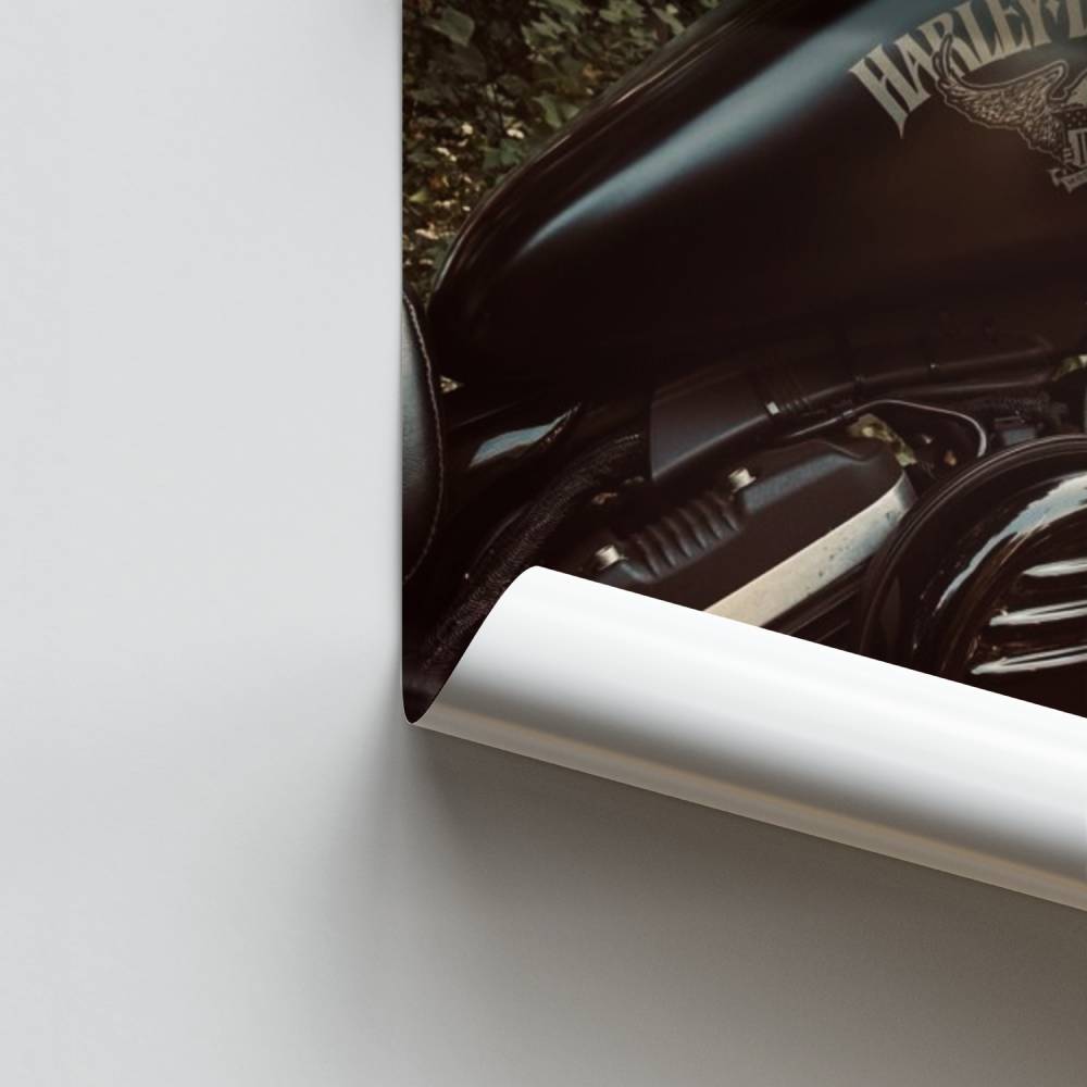 V-Twin Spirit Poster