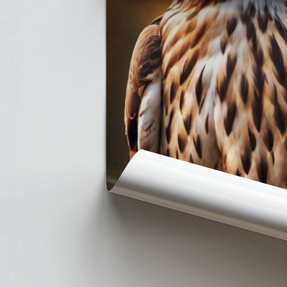 Poster Skateboard-Legende